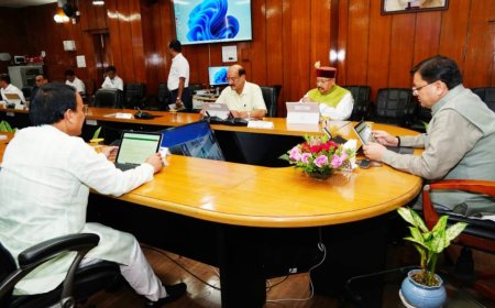 पहाड़ के मुर्गी पालकों को कुक्कुट आहार में मिलेगी सब्सिडी, धामी कैबिनेट के बड़े फैसले