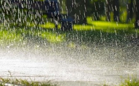 बारिश दिखाएगी रौद्र रूप, 14, 15, 16 और 17 सितंबर को तूफानी बारिश का इन जिलों में अलर्ट