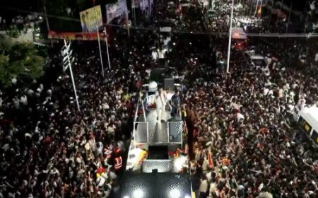 करूर भगदड़- विजय जानबूझकर रैली में देरी से पहुंचे:FIR में एक्टर के खिलाफ आरोप; रोड शो की अनुमति भी नहीं ली गई