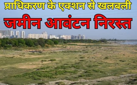 एनसीआर में 1,10,512 वर्ग गज जमीन का आवंटन निरस्त, बिल्डर को प्राधिकरण का झटका