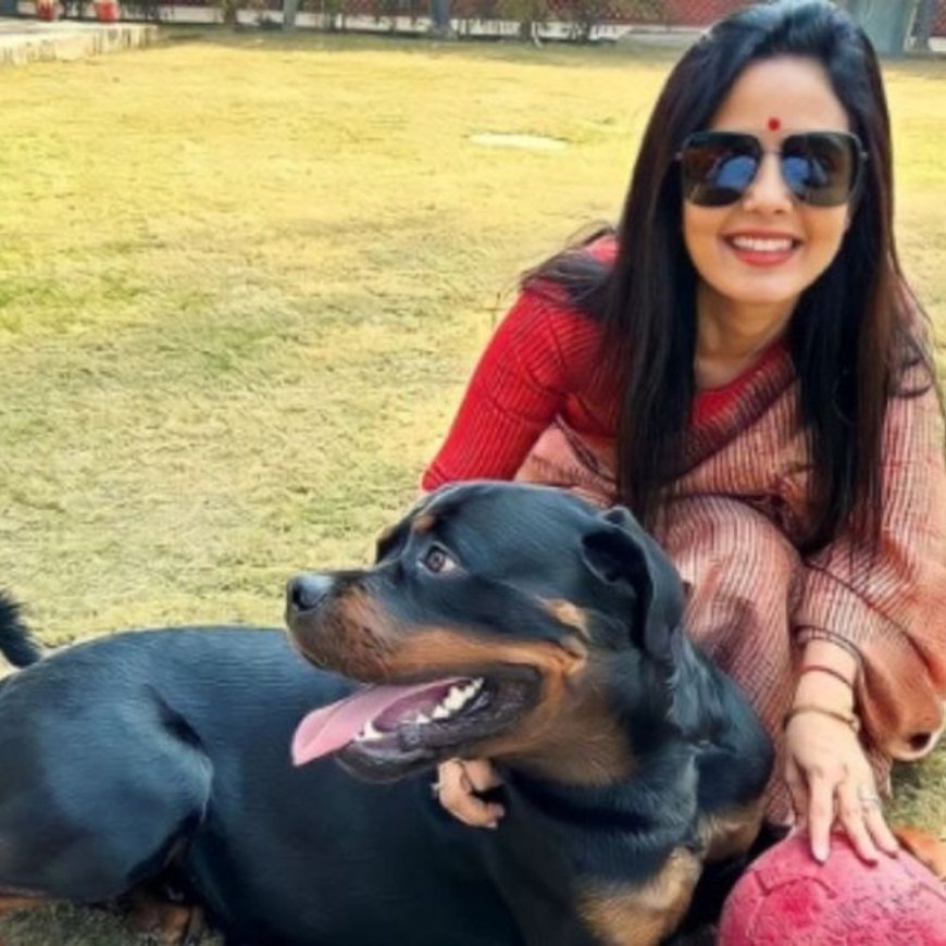 महुआ और उनके वकील के बीच कुत्ते की कस्टडी मामला:दिल्ली हाईकोर्ट बोला- दोनों आपस में विवाद को क्यों नहीं सुलझाते