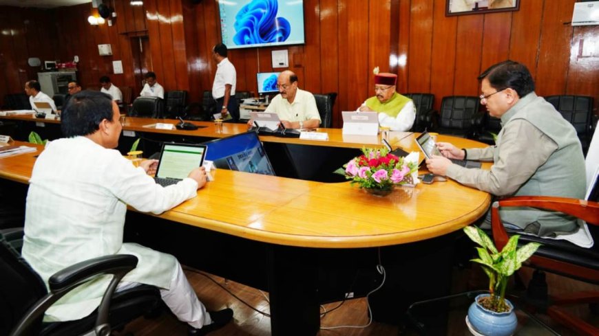 पहाड़ के मुर्गी पालकों को कुक्कुट आहार में मिलेगी सब्सिडी, धामी कैबिनेट के बड़े फैसले