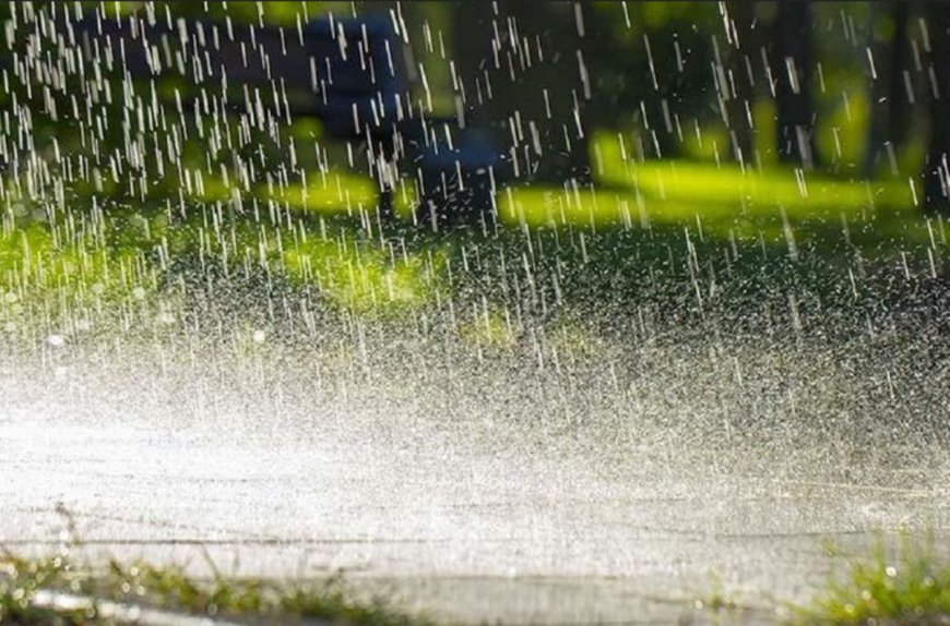 बारिश दिखाएगी रौद्र रूप, 14, 15, 16 और 17 सितंबर को तूफानी बारिश का इन जिलों में अलर्ट