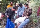 लापता व्यक्ति का मिला नर कंकाल