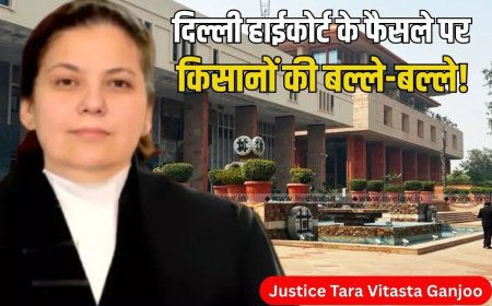 दिल्ली में 36 साल पहले खरीदी गई जमीनों का हाईकोर्ट ने बढ़ाया रेट, ब्याज समेत मिलेगा मुआवजा