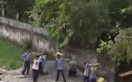 स्कूली बच्चों से रेता बजरी उठवाने पर प्राथमिक विद्यालय बंजारावाला की प्रधानाचार्य निलंबित..