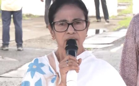 ममता बोलीं- शाह एक दिन मोदी के मीर जाफर बनेंगे:वो कार्यवाहक प्रधानमंत्री की तरह बर्ताव कर रहे; PM उन पर भरोसा ना करें