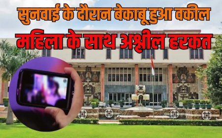 कोर्ट में वर्चुअल सुनवाई के दौरान अश्लीलता करने लगा वकील, सोशल मीडिया पर मचा बवाल