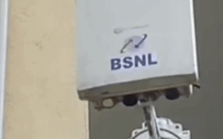 पंजाब का ऐसा गांव, जहां इंटरनेट अब मुफ्त:लोग फोन सुनने ऊंची जगहों पर जाते थे, सरपंच ने बदली किस्मत; पासवर्ड दीवारों पर लिखे