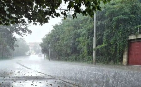 Rain Alert:आज से करवट लेगा मौसम, दो दिन बारिश और पहाड़ों में बर्फबारी की चेतावनी