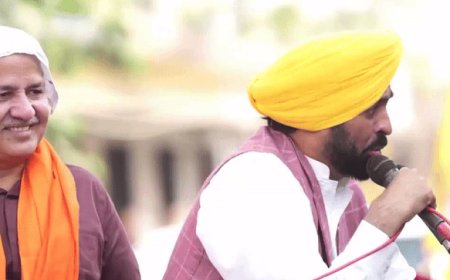 तरनतारन उप-चुनाव: सीएम भगवंत मान पहुंचे प्रचार करने:बोले- अभी पंजाब में पराली जली नहीं, दिल्ली वालों को धुआं पहुंच भी गया