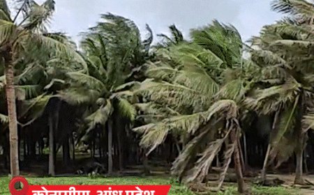 तूफान मोन्था- आंध्र प्रदेश में महिला की मौत, 2 घायल:हवा की रफ्तार 100 kmph, समुद्र किनारे के घर गिरे; ओडिशा में 11 हजार का रेस्क्यू