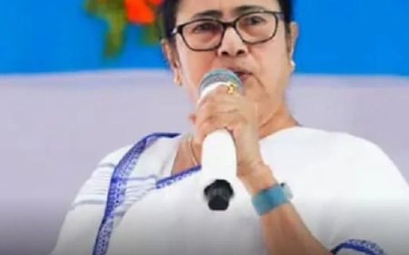 ममता बनर्जी बोलीं- फूट डालो-राज करो की राजनीति न करें:TMC का दावा- SIR के डर से दो सुसाइड, अभिषेक ने शाह-CEC को जिम्मेदार ठहराया