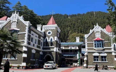 Contempt:हाईकोर्ट सख्त, सरकार से पूछा अब तक उपनल कर्मी क्यों नहीं हुए पक्के…