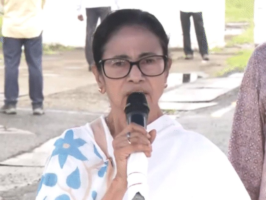 ममता बोलीं- शाह एक दिन मोदी के मीर जाफर बनेंगे:वो कार्यवाहक प्रधानमंत्री की तरह बर्ताव कर रहे; PM उन पर भरोसा ना करें