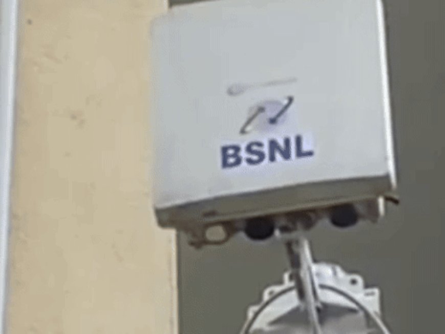 पंजाब का ऐसा गांव, जहां इंटरनेट अब मुफ्त:लोग फोन सुनने ऊंची जगहों पर जाते थे, सरपंच ने बदली किस्मत; पासवर्ड दीवारों पर लिखे