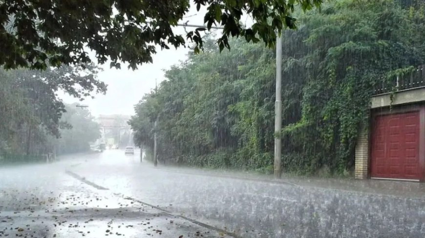 Rain Alert:आज से करवट लेगा मौसम, दो दिन बारिश और पहाड़ों में बर्फबारी की चेतावनी
