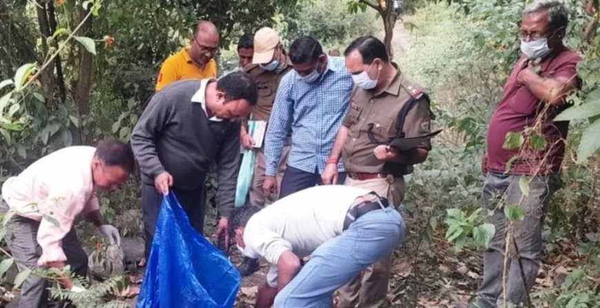 लापता व्यक्ति का मिला नर कंकाल