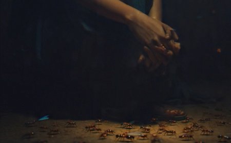 तेलंगाना में चींटियों के डर से महिला का सुसाइड:नोट में लिखा-इनके साथ जी नहीं सकती; मरने से पहले बेटी को रिश्तेदार के घर छोड़ा