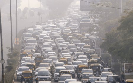 दिल्ली-NCR में पॉल्यूशन, सुप्रीम कोर्ट ने पंजाब-हरियाणा से रिपोर्ट मांगी:पूछा- पराली जलाने से रोकने क्या किया; GRAP-3 लागू लेकिन कोर्ट के बाहर खुदाई