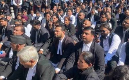 देहरादून: वकीलों की खत्म नहीं होगी हड़ताल, आंदोलन के बीच सीएम से मिले, आज डीएम करेंगे बात, निकालेंगे समाधान