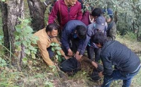 चमोली : लापता महिला जंगल में मिली, भालू ने हमला कर किया बुरी तरह घायल, रात भर एक पेड़ के सहारे छिपी रही