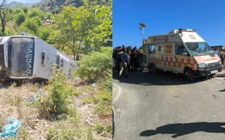 ब्रेक फेल होने से भीषण हादसा : गहरी खाई में गिरी बस, पांच श्रद्धालुओं की मौत, सात घायल