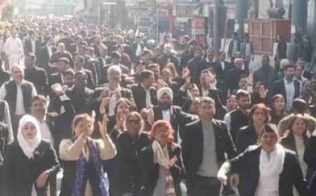 देहरादून में वकीलों का जोरदार प्रदर्शन,अदालतें बंद, सड़कों पर रैली और धरना