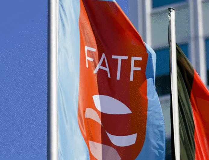 FATF रिपोर्ट- मनी लॉन्ड्रिंग मामलों में ED कार्रवाई की तारीफ:भारतीय जांच एजेंसी के काम को वैश्विक मॉडल बताया; ₹17520 करोड़ के पोंजी स्कैम का जिक्र
