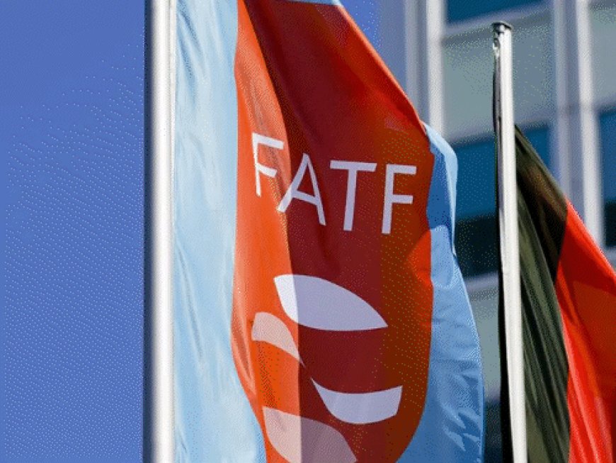 FATF रिपोर्ट- मनी लॉन्ड्रिंग मामलों में ED कार्रवाई की तारीफ:भारतीय जांच एजेंसी के काम को वैश्विक मॉडल बताया; ₹17520 करोड़ के पोंजी स्कैम का जिक्र