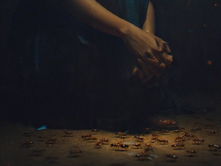 तेलंगाना में चींटियों के डर से महिला का सुसाइड:नोट में लिखा-इनके साथ जी नहीं सकती; मरने से पहले बेटी को रिश्तेदार के घर छोड़ा