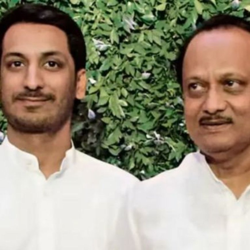 1800 करोड़ की जमीन 300 करोड़ में खरीदी:डिप्टी सीएम अजित पवार का बेटा जांच के घेरे में, विपक्ष बोला सौदा सरकारी मंजूरी के बिना हुआ