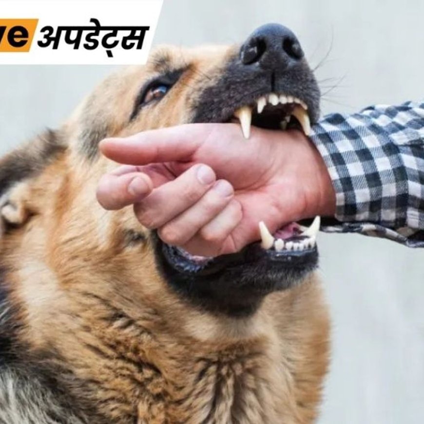 भास्कर अपडेट्स:कर्नाटक सरकार कुत्ता काटने से मरने वालों के परिवार को ₹5 लाख देगी, चोट-निशान पर ₹5 हजार मुआवजा