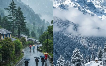 Weather News:पांच दिसंबर से मौसम बेकाबू, बारिश और पहाड़ों में बर्फबारी का अलर्ट, ठिठुराएगी शीतलहर