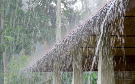 नया पश्चिमी विक्षोभ मचाएगा तांडव! 24 घंटे बाद मौसम में बड़े उलटफेर की संभावना, IMD की नई भविष्यवाणी