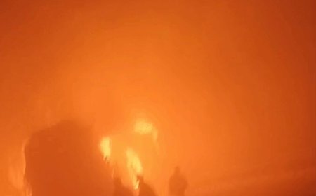 मथुरा में 7 बसें, 3 कारें टकराईं, 4 जिंदा जले:66 को अस्पताल भेजा, यमुना एक्सप्रेस-वे पर कोहरे के चलते हादसा