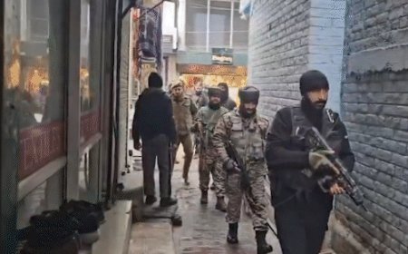 श्रीनगर से जम्मू तक सुरक्षा, 80 गांवों में घर-घर तलाशी:घुसपैठ रोकने के लिए कश्मीर पुलिस-सेना का जॉइंट ऑपरेशन; उधमपुर में आतंकी दिखने के बाद एक्शन