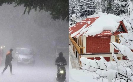 28 दिसंबर से बारिश का दौर : नववर्ष के जश्न पर भीषण ठंड का साया, 27 तक घने कोहरे का यलो अलर्ट