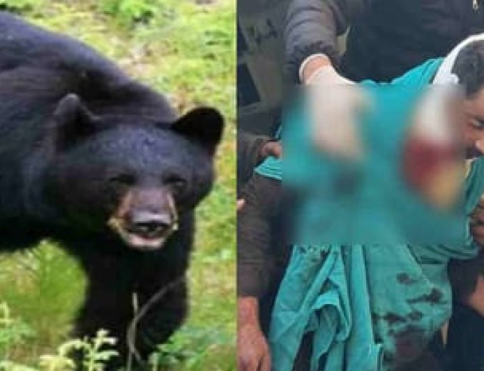 Tehri News: बकरी लेकर जा रहे युवक पर दो भालुओं का हमला, हिम्मत से बचाई अपनी जान