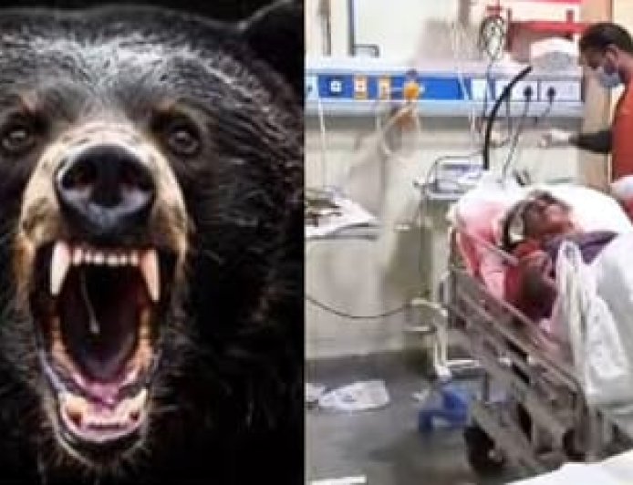 पहाड़ के बाद देहरादून में भालू का कहर, महिला पर हमला