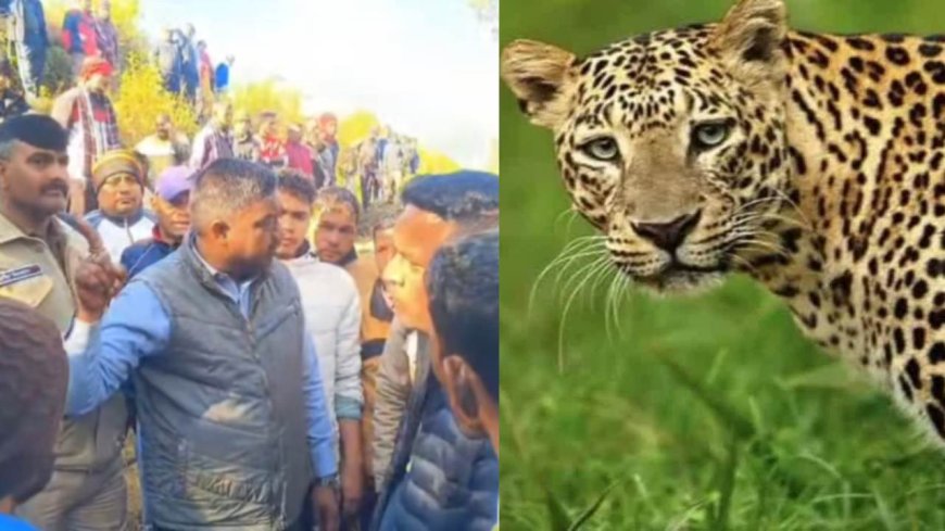 पौड़ी में नहीं थम रहा गुलदार का आतंक, गजल्ट गांव में 42 साल के राजेंद्र को बनाया निवाला, ग्रामीणों में आक्रोश