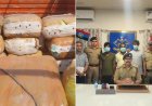 ओडिशा से आ रही थी नशे की खेप, उत्तराखंड पुलिस ने 558 किलो गांजा पकड़ा