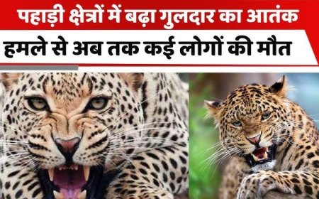 नैनीताल : यहां गुलदार के हमले से महिला की मौत, घर में कोहराम