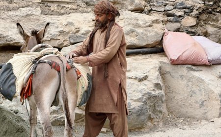 ‘Peaceful days in the Arabian Peninsula’