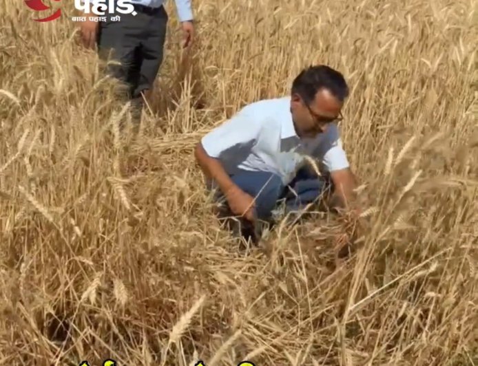 हल्द्वानी :(बड़ी खबर) DM रयाल यहां पहुंचे गेहूं काटने