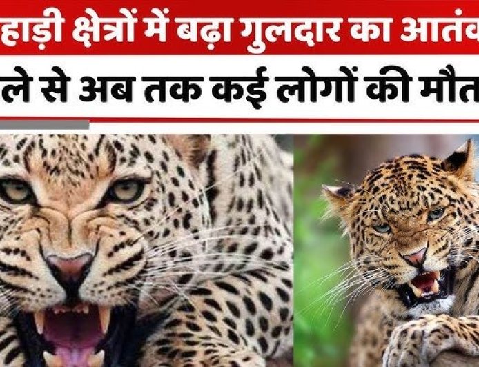 नैनीताल : यहां गुलदार के हमले से महिला की मौत, घर में कोहराम