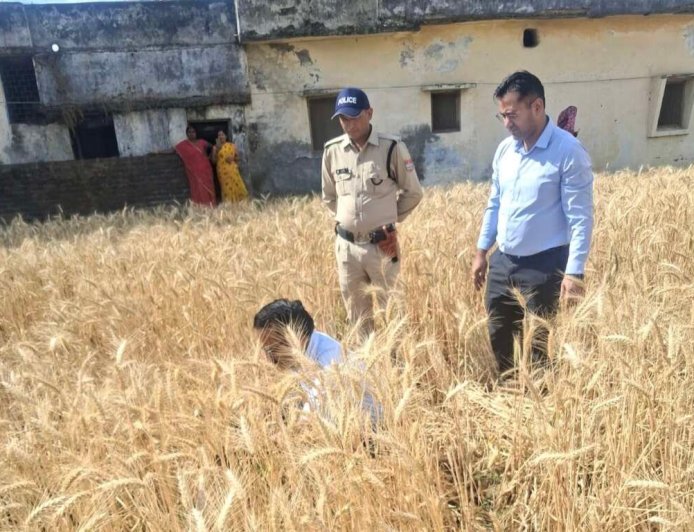 हल्द्वानी: जिलाधिकारी ने हरिपुरा में रबी फसल की क्रॉप कटिंग की