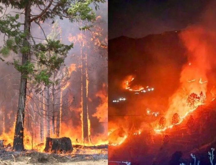 बड़ी खबर : दो दिन में 60 से अधिक फायर अलर्ट, उत्तराखंड में वन कर्मियों के अवकाश निरस्त