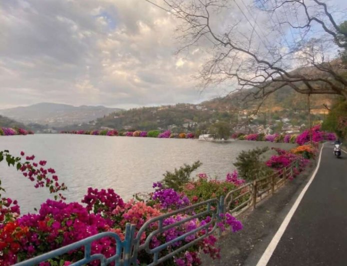 नैनीताल: बोगनवेलिया के फूलों से महकेंगी भीमताल और सातताल झीलें, 3000 पौधों से होगा सौंदर्यीकरण