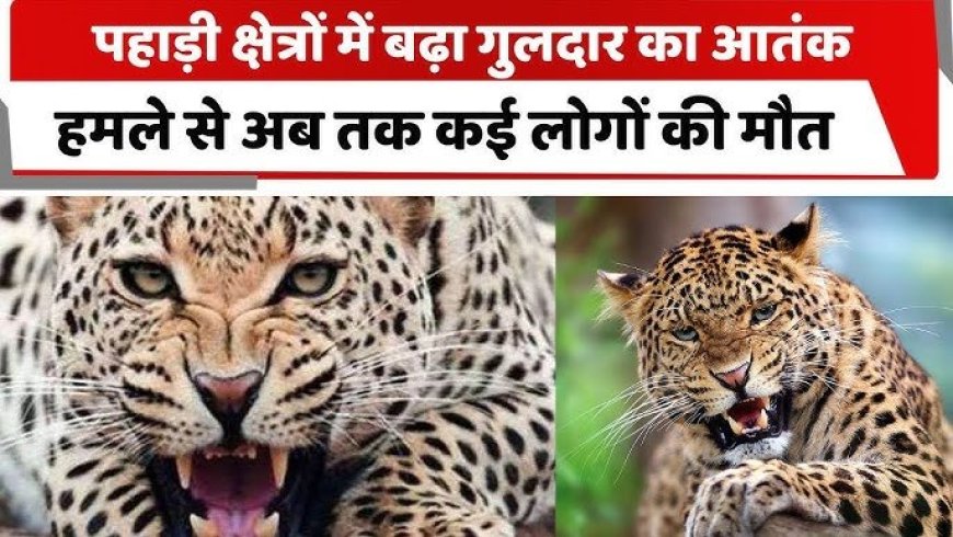 नैनीताल : यहां गुलदार के हमले से महिला की मौत, घर में कोहराम